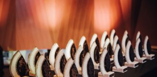 Kongresni ambasadorji/ambasadorke Slovenije