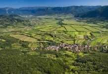 vipava-valley-drone-panorama-slovenia-greenery-nature