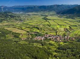 vipava-valley-drone-panorama-slovenia-greenery-nature